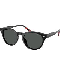 Polo Ralph Lauren - Ph4241U 500187 Sunglasses Acetate Round Normal - Lyst