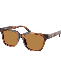 Polo Ralph Lauren - Ph4247U 635593 Sunglasses Acetate Squared Normal - Lyst