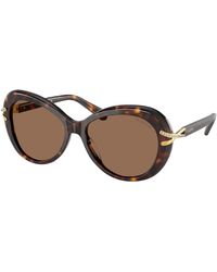 Swarovski - Sk6026 100273 Sunglasses Acetate Butterfly Normal - Lyst