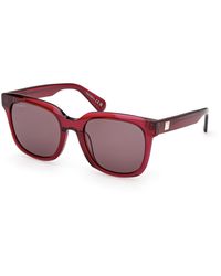 MAX&Co. - Mo0146 69E Sunglasses Acetate Squared Normal - Lyst