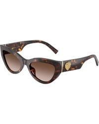 Dolce & Gabbana - Dg4536 502/13 Sunglasses Acetate Cat Eye Normal Nuanced - Lyst