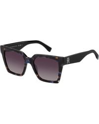 Tommy Hilfiger - Th 2100/S Jbw/3X Sunglasses Acetate Bordeaux Squared Shaded - Lyst