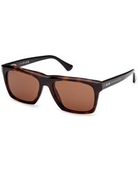 Web - We0350 55E Sunglasses Acetate Squared Normal - Lyst