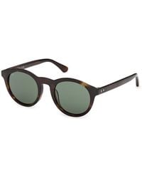 Web - We0398 52N Sunglasses Acetate Round Normal - Lyst