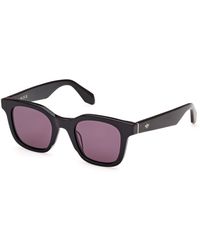 adidas - Or0109 01A Sunglasses Acetate Smoke Round Normal - Lyst