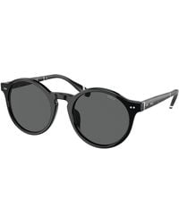 Polo Ralph Lauren - Ph4204U 500187 Sunglasses Acetate Pantos Normal - Lyst