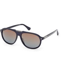 Web - We0394 92F Sunglasses Acetate Pilot Normal - Lyst