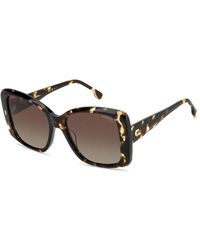 Carrera - 3030/S Wr9/La Sunglasses Acetate Squared Normal Shaded - Lyst
