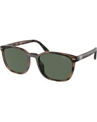 Polo Ralph Lauren - Ph4208U 597471 Sunglasses Injected Squared Normal - Lyst