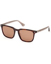Web - We0369 56E Sunglasses Acetate Squared Normal - Lyst