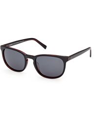 Timberland - Tb00074 65D Sunglasses Acetate Smoke Round Polarized - Lyst