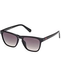 Guess - Gu00129 01B Sunglasses Injected Smoke Squared Normal - Lyst