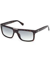 Guess - Gu00274 52P Sunglasses Injected Squared Normal - Lyst