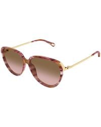 Chloé - Ch0406S 002 Sunglasses Acetate Round Nuanced - Lyst