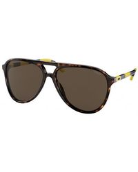 Polo Ralph Lauren - Ph4173 500373 Sunglasses Acetate Pilot Normal - Lyst