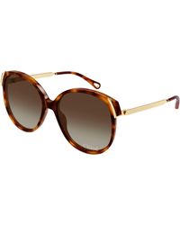 Chloé - Ch0285S 002 Sunglasses Acetate Squared - Lyst