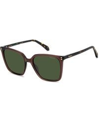 Polaroid - Pld 4201/S/X 09Q/Uc Sunglasses Acetate Squared Polarized - Lyst