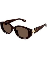 Chloé - Ch0237Sk 002 Sunglasses Acetate Round - Lyst