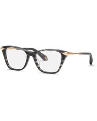 Roberto Cavalli - Vrc144M 03Am Optical Frames Acetate Cat Eye - Lyst