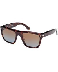 Tom Ford - Ft1077 Alberto 52F Sunglasses Acetate Squared Normal Shaded - Lyst