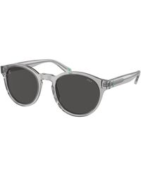 Polo Ralph Lauren - Ph4192 541387 Sunglasses Acetate Round Normal - Lyst