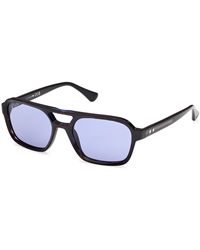 Web - We0376 56V Sunglasses Acetate Squared Normal - Lyst