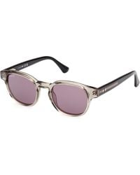 Web - We0361 95A Sunglasses Acetate Round Normal - Lyst