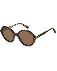 Polaroid - Pld 4114/S/X 086/Sp Sunglasses Acetate Copper Round Polarized - Lyst
