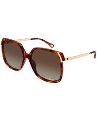 Chloé - Ch0286S 002 Sunglasses Acetate Squared - Lyst
