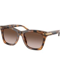 Ralph Lauren - Rl8235U 608913 Sunglasses Acetate Squared Normal Nuanced - Lyst