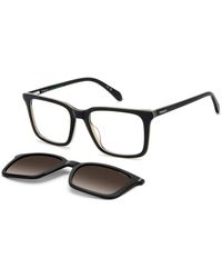 Polaroid - Pld D604/C 0Wm/La Optical Frames Acetate Squared Polarized Nuanced - Lyst