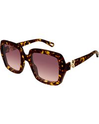 Chloé - Ch0301S 002 Sunglasses Acetate Squared - Lyst