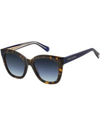 Tommy Hilfiger - Th 1884/S 086/Gb Sunglasses Acetate Cat Eye Shaded - Lyst