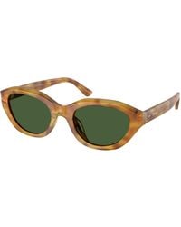 Polo Ralph Lauren - Ph4237U 618571 Sunglasses Acetate Cat Eye Normal - Lyst