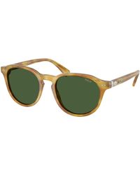 Polo Ralph Lauren - Ph4221 618571 Sunglasses Acetate Pantos Normal - Lyst