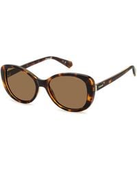 Polaroid - Pld 4154/S/X 086/Sp Sunglasses Plastic Butterfly Polarized - Lyst