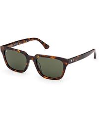 Web - We0391 52N Sunglasses Acetate Squared Normal - Lyst