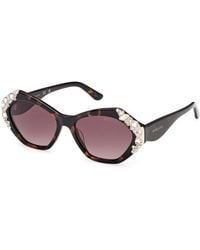 Guess - Gm00026 52F Sunglasses Acetate Geometric Normal - Lyst