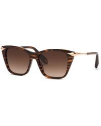 Roberto Cavalli - Src150 04Ah Sunglasses Acetate Cat Eye Normal Nuanced - Lyst