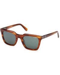 Guess - Gu00279 47N Sunglasses Acetate Squared Normal - Lyst