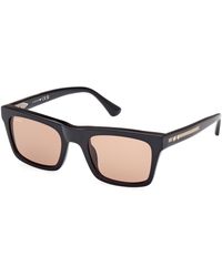 Web - We0362 05J Sunglasses Acetate Squared Normal - Lyst