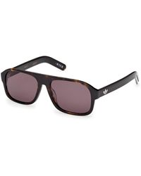 adidas - Or0141 52E Sunglasses Acetate Pilot Normal - Lyst