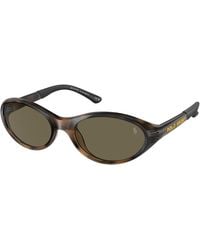 Polo Ralph Lauren - Ph4197U 5003/3 Sunglasses Injected Round Normal - Lyst