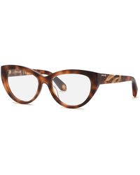 Roberto Cavalli - Vrc024M 02Bv Optical Frames Acetate Cat Eye - Lyst