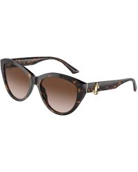 Jimmy Choo - Jc5007 5002T5 Sunglasses Acetate Pantos Polarized Shaded - Lyst