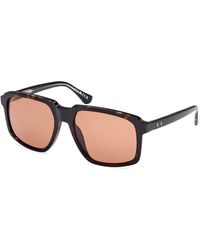 Web - We0378 56J Sunglasses Acetate Squared Normal - Lyst