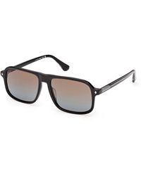 Web - We0396 05F Sunglasses Acetate Squared Normal - Lyst