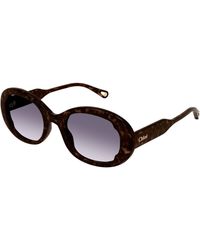 Chloé - Ch0197Sa 002 Sunglasses Acetate Round Shaded - Lyst