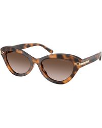 Ralph Lauren - Rl8236U 608913 Sunglasses Acetate Cat Eye Normal Nuanced - Lyst