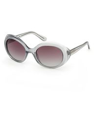 Guess - Gu00287 93T Sunglasses Injected Bordeaux Round Normal - Lyst